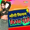 About Maigi Milal Biya Gundi Song